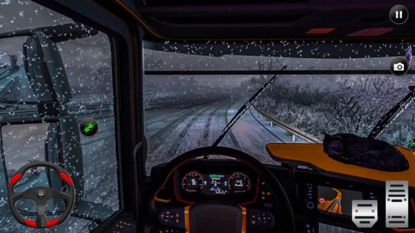 美国卡车驾驶3D游戏截图-3