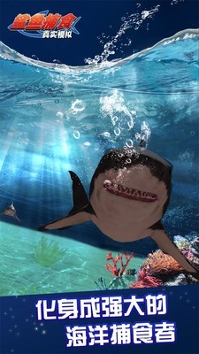 真实模拟鲨鱼捕食游戏截图-1