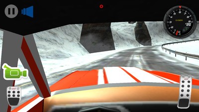赛车模拟驾驶3D游戏截图-2