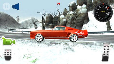 赛车模拟驾驶3D游戏截图-4