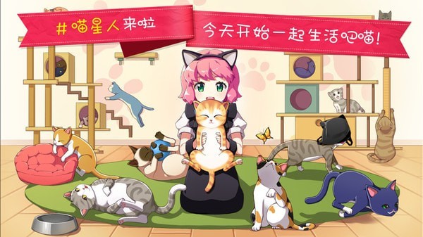 猫猫咖啡屋测试服游戏截图-4