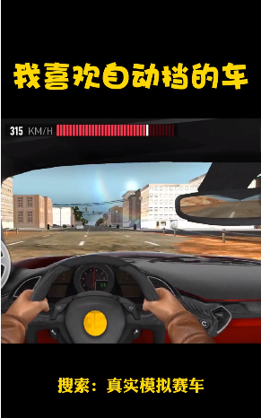 真实模拟赛车游戏截图-2
