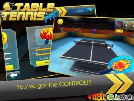 3D乒乓球 完整版 Table Tennis Pro 3D v1.0.1游戏截图-2