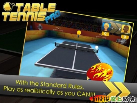 3D乒乓球 完整版 Table Tennis Pro 3D v1.0.1游戏截图-3