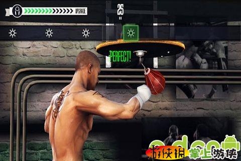 真实拳击(含数据包) Real Boxing v1.6.5游戏截图-7