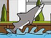 迈阿密鲨鱼1.27