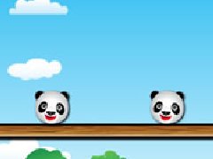 熊猫鹊桥会