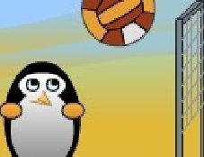 企鹅的沙滩排球