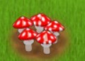 疯狂蘑菇3中文版