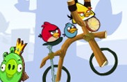 愤怒小鸟自行车