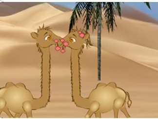 沙漠骆驼接吻