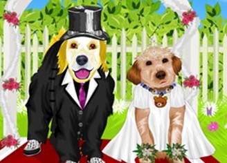 小狗婚礼